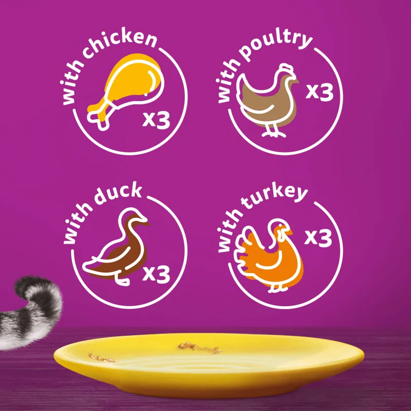 Whiskas Pouches Senior 7+ Poultry Feasts in Jelly 12 x 85g-2